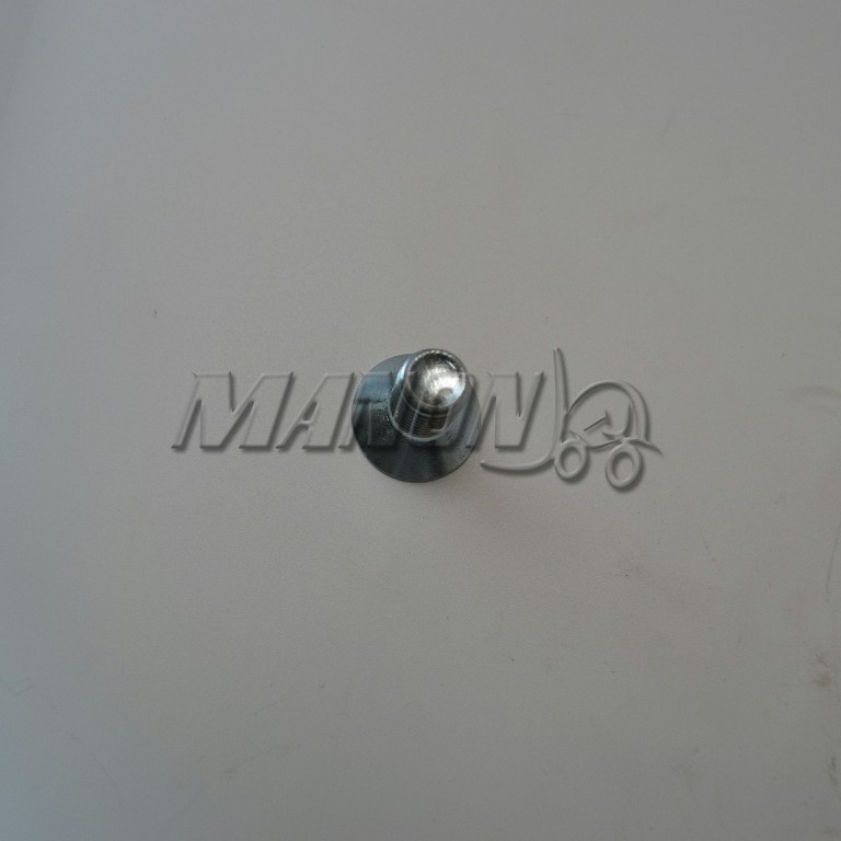 螺栓HYSTER 296252 B433 (P2.0SD) 